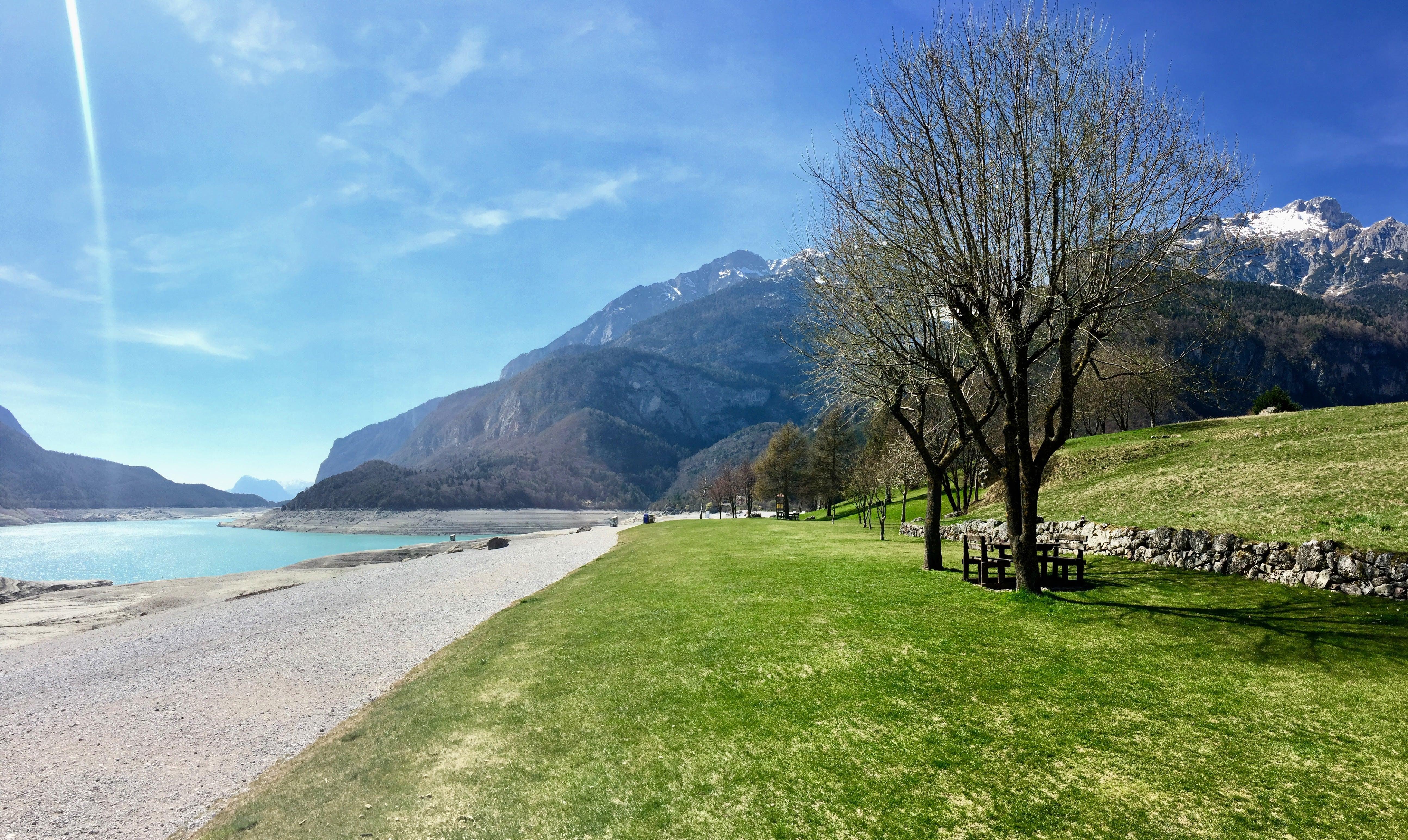 Alpine lakeshore with green grass and snow-capped mountains