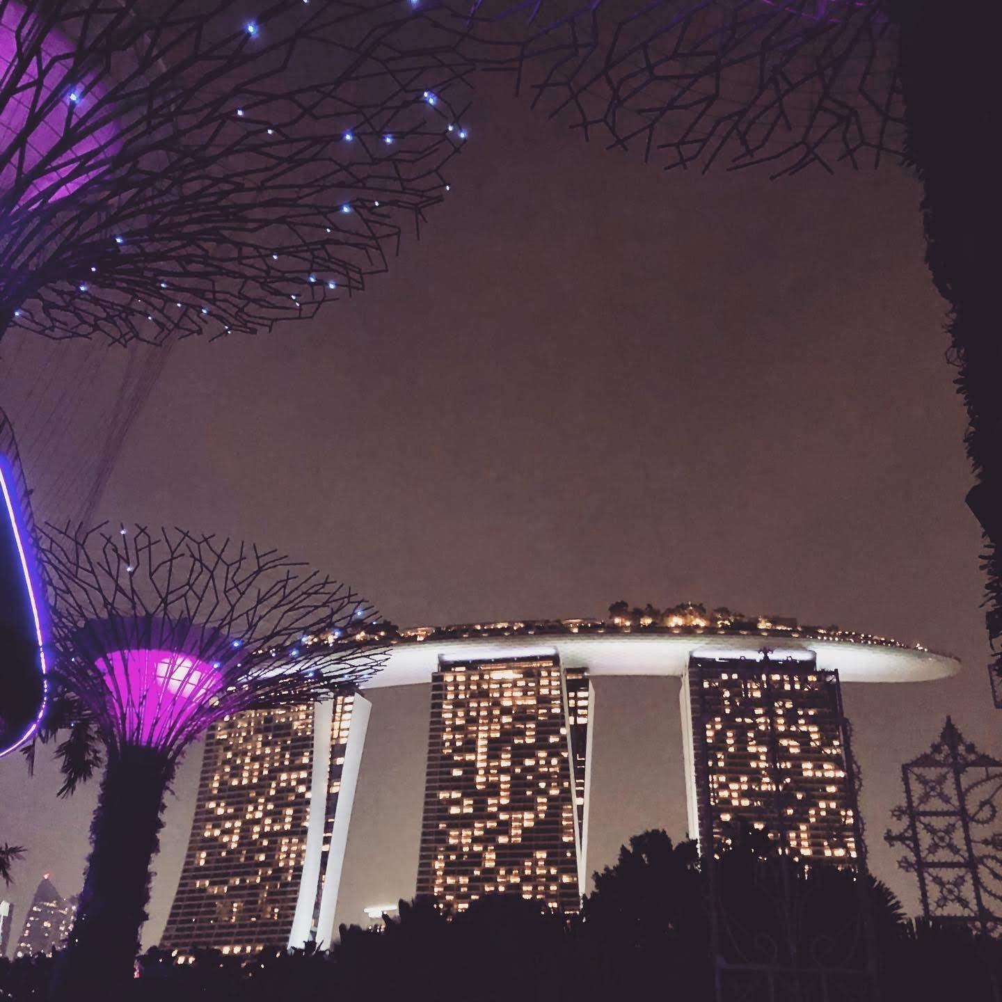 Marina Bay Sands and Supertree Grove lit up at night