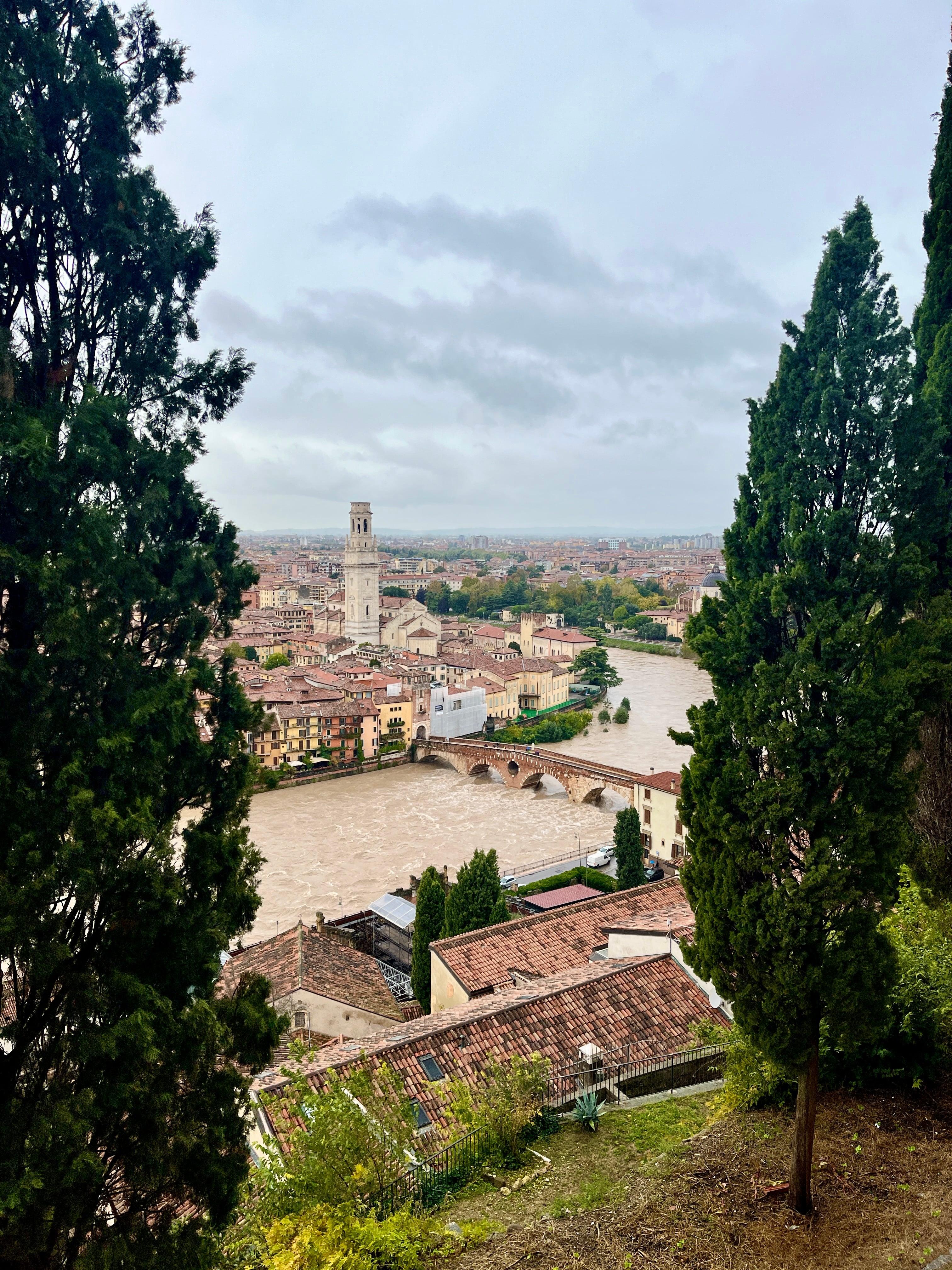 Verona skyline framed by cypress trees with swollen river below