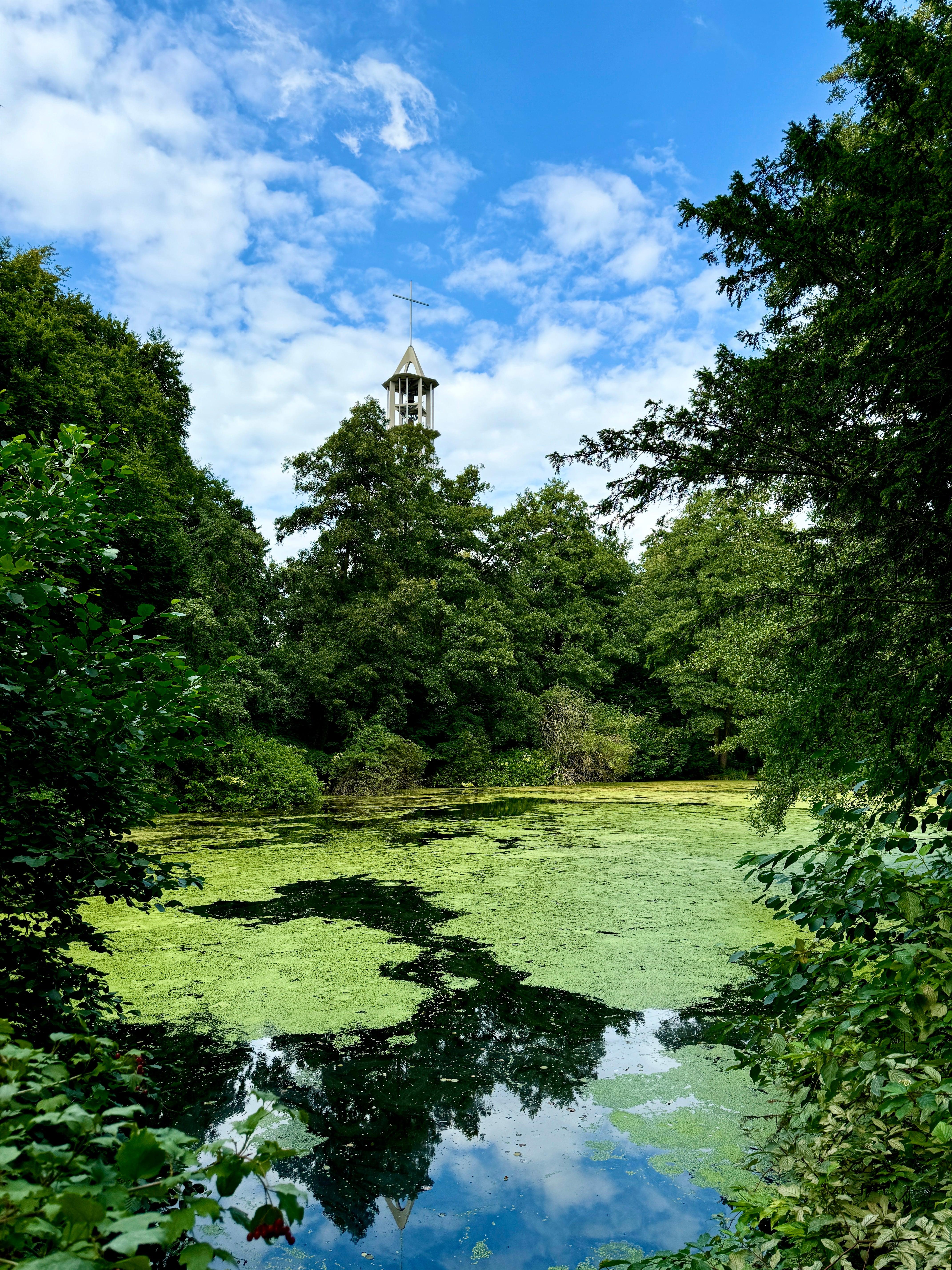 Algae-covered pond with tower peeking through lush green trees