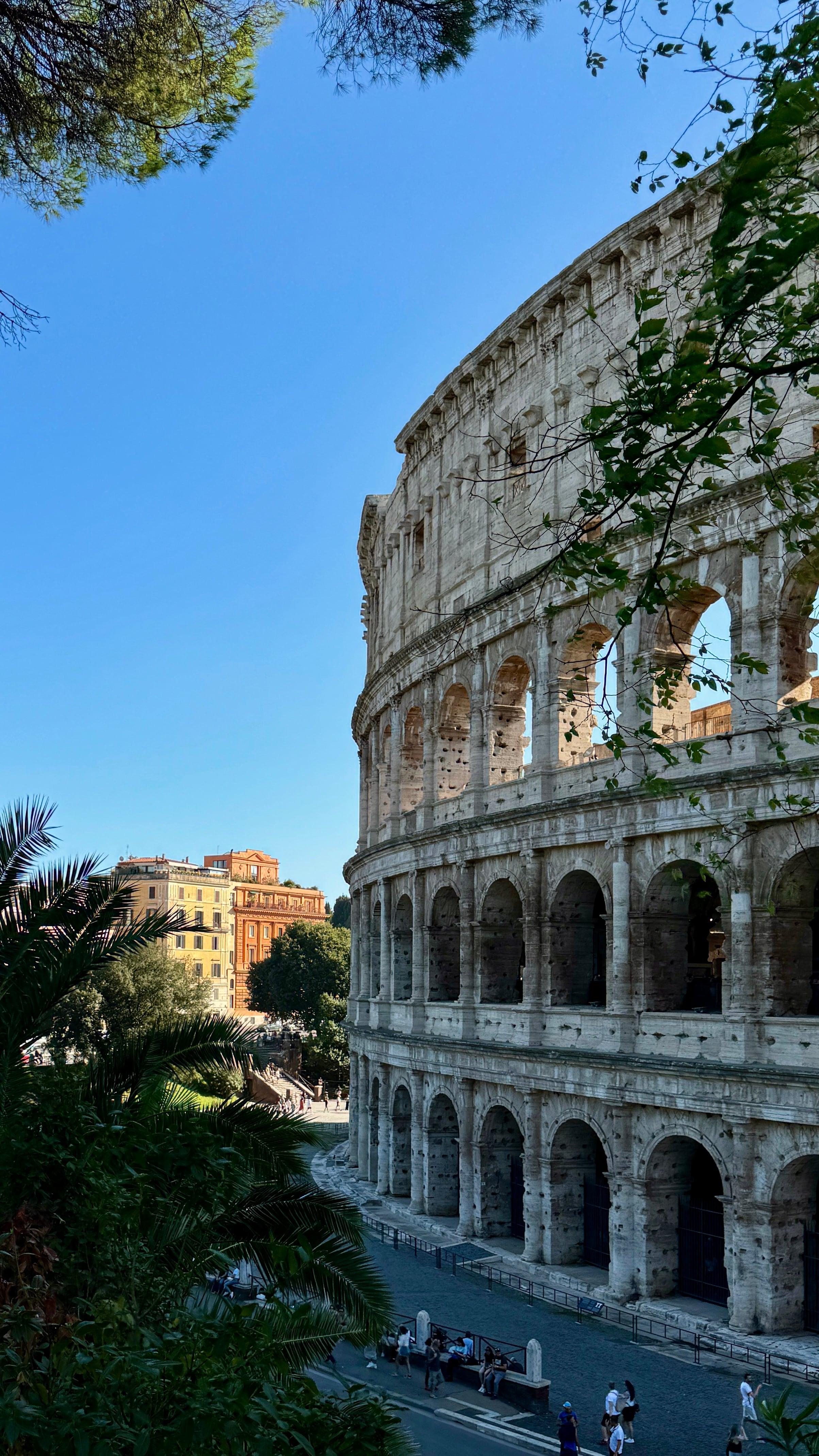 The Colosseum in Rome framed by pine trees under blue sky