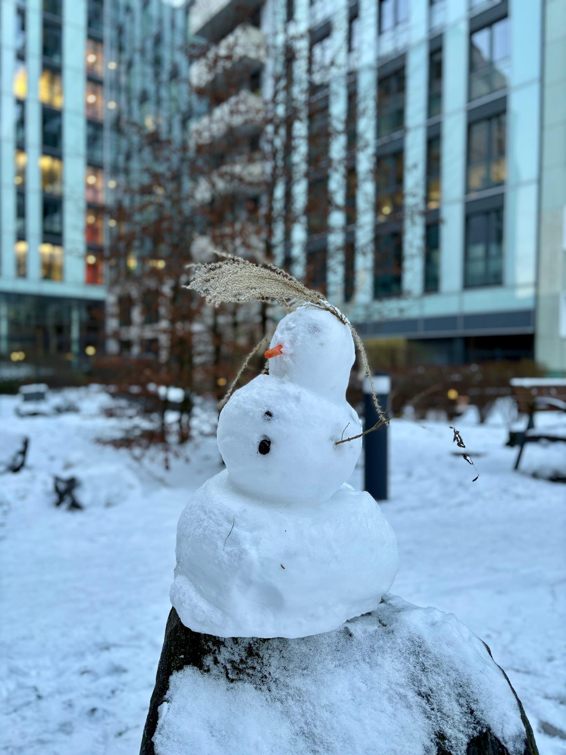 Snowman with a dried leaf hat in a snowy Berlin park